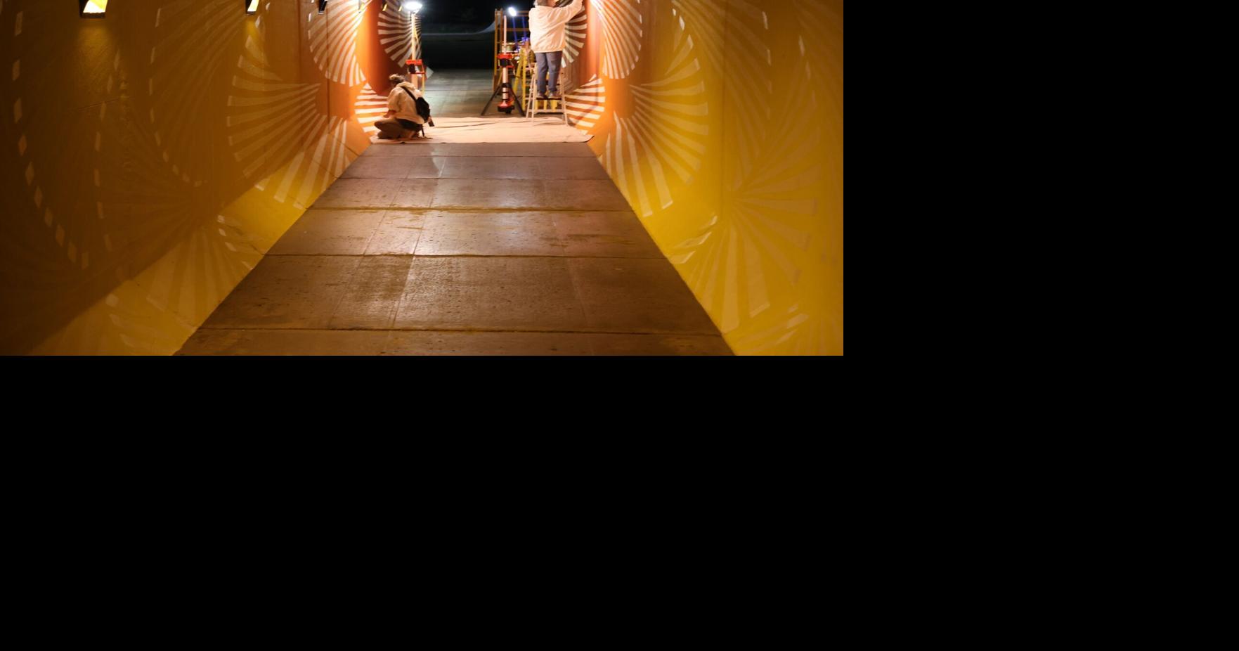 Local artists collaborate to bring a touch of art to Boyd Park tunnel ...