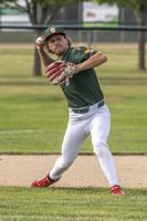 Dairyland Collegiate League: Welcome to the Wisconsin Cheese Kings
