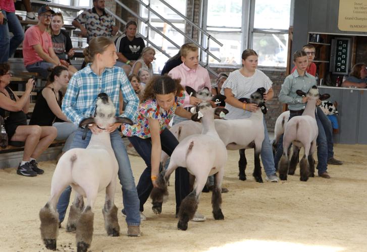 Rock County 4-H Fair