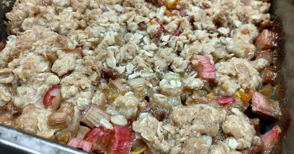 Down on the Farm: Rhubarb season