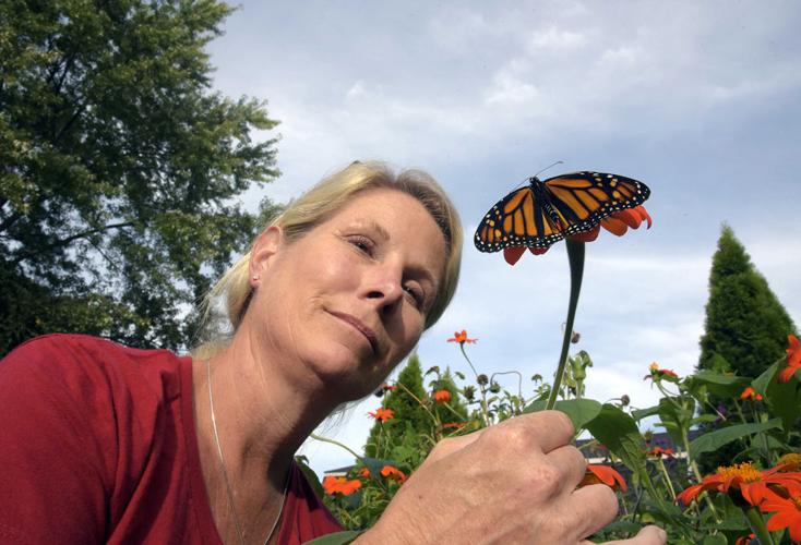 Lifting the fading monarch