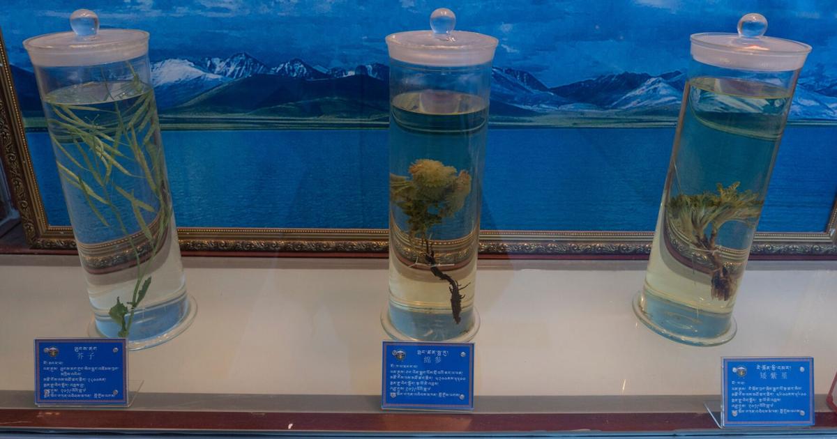 China Tibetan Medicine Photo Gallery