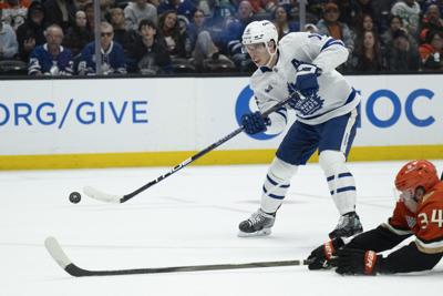 Free Agency Preview Hockey