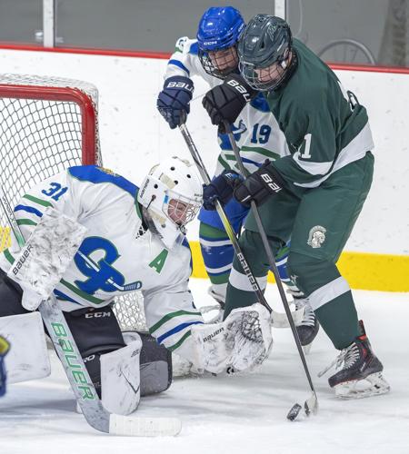 JVG 251205 BLUEBIRDS 2