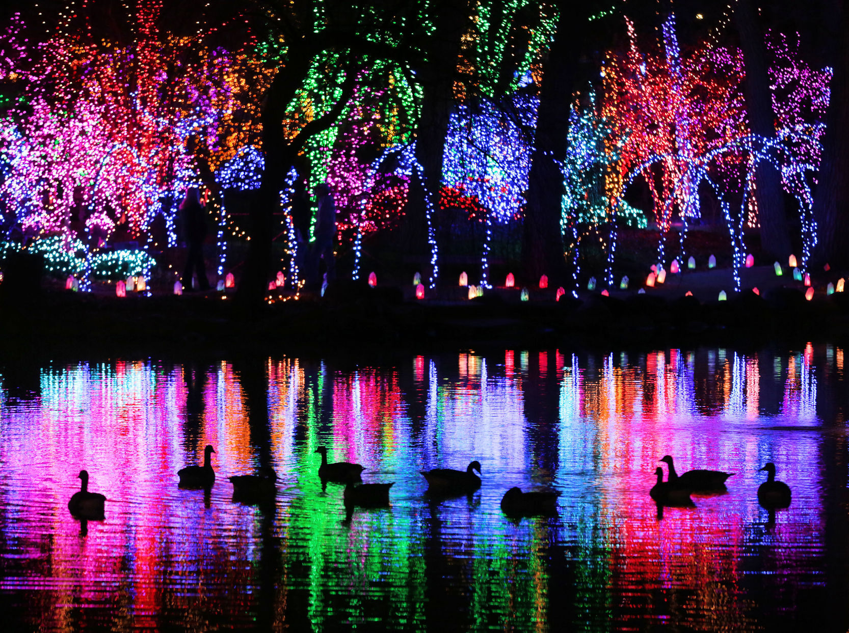 5fba8d985ccab.image.jpg?resize