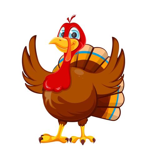 Happy Thanksgiving Day. Funny Cartoon Character Turkey Bird. Turkey Bird Isolated On White Backgroun