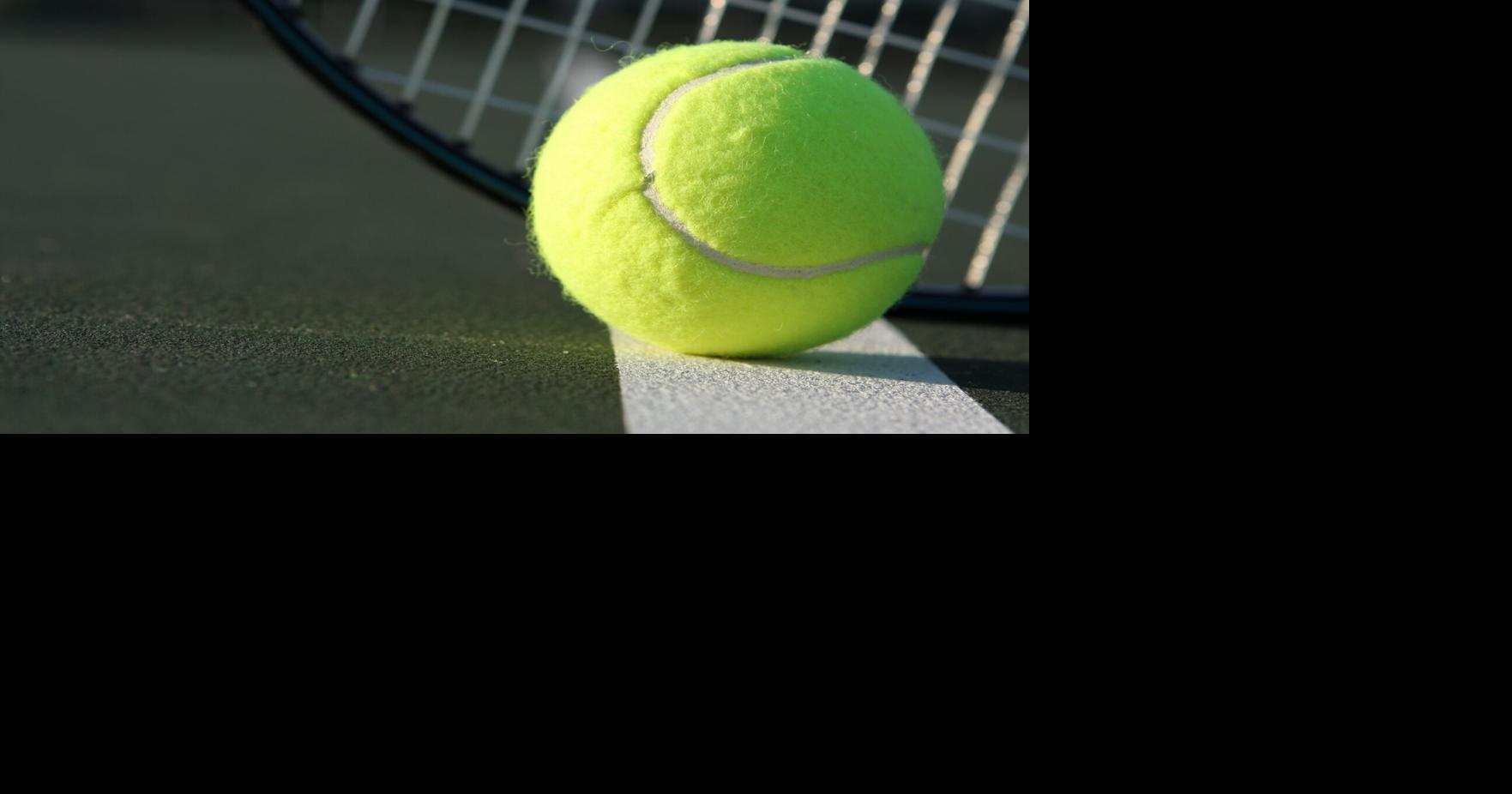 Palmer Park tennis courts to host Janesville Open plus elite doubles
