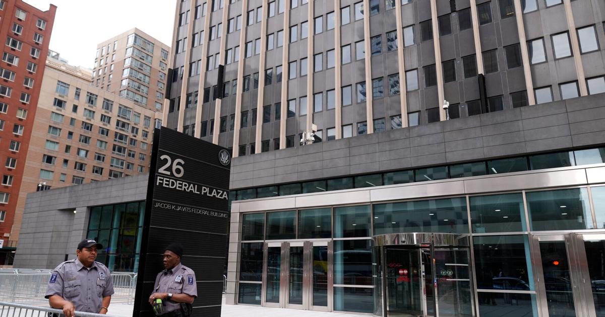 Election 2026 New York Immigration
