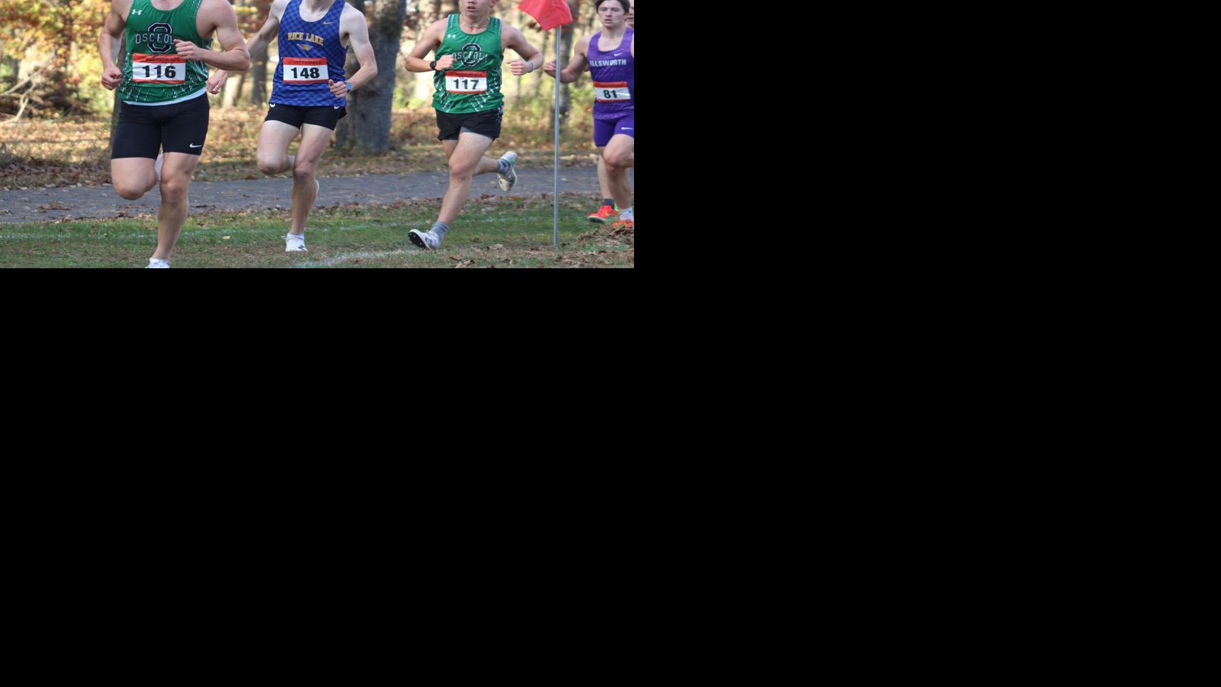 Division 2 cross country sectional 10-24-25