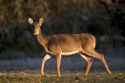 JVG_211127_OUTDOORCOLUMN_PHOTO