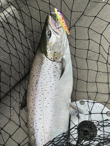 Doc’s Custom Crank Baits