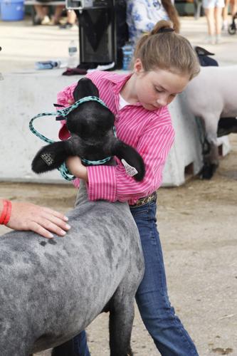 Rock County 4-H Fair