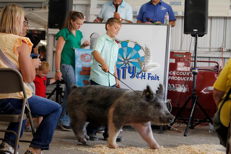 Rock County Fair