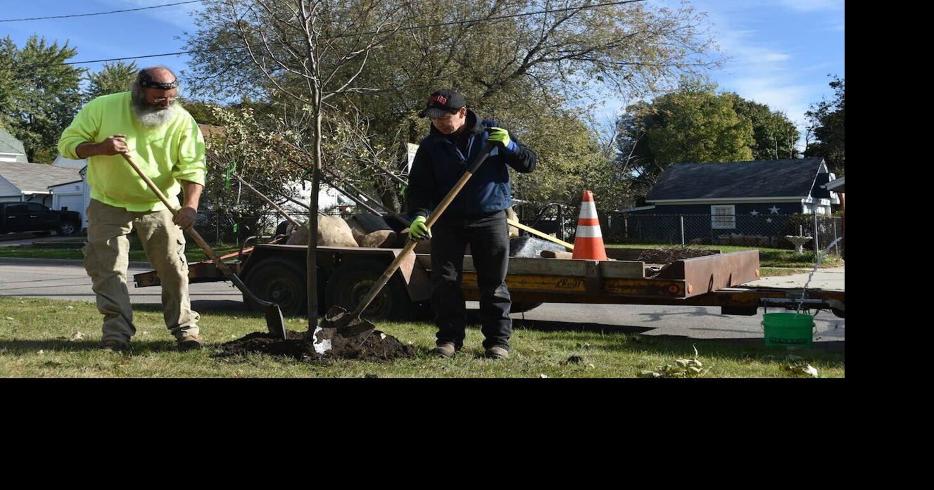 Tree planting planned to mitigate climate change