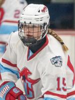 Janesville girls youth hockey growing