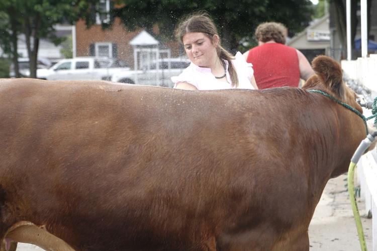 Rock County 4-H Fair