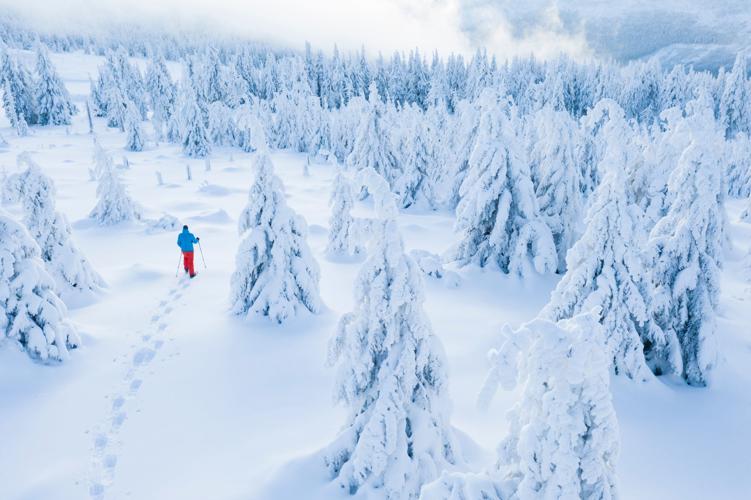 Aerial view of snowshoes walker in snowy spruce forest. Winter outdoor leasure activity and extreme