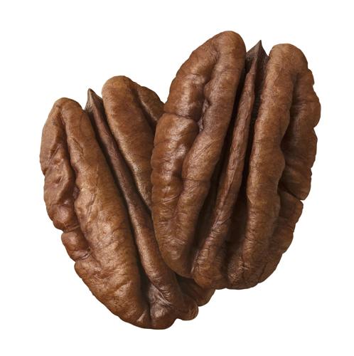 191121PECANS