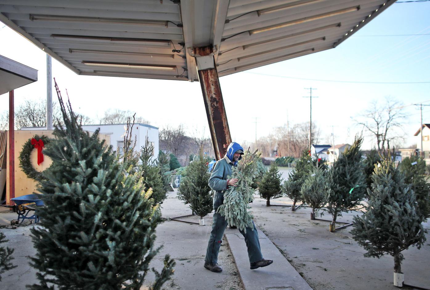 Christmas tree lot is a tradition for many in Janesville Business