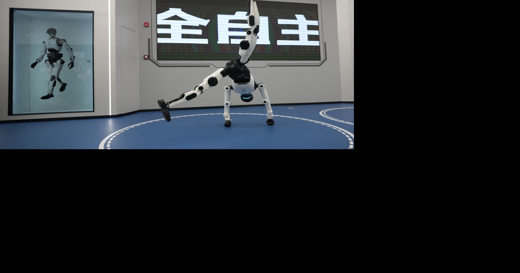 China Humanoid Robots