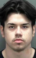 Janesville teen faces prison on Walworth, Rock county charges