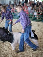 Grand champion barrow is the ‘complete' package