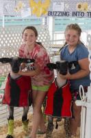 Photo gallery: 2023 Rock County Fair
