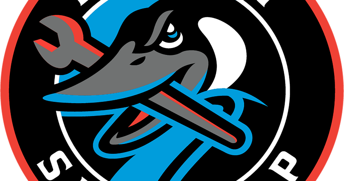 Beloit Sky Carp rally from 51 down to defeat Peoria Chiefs Local