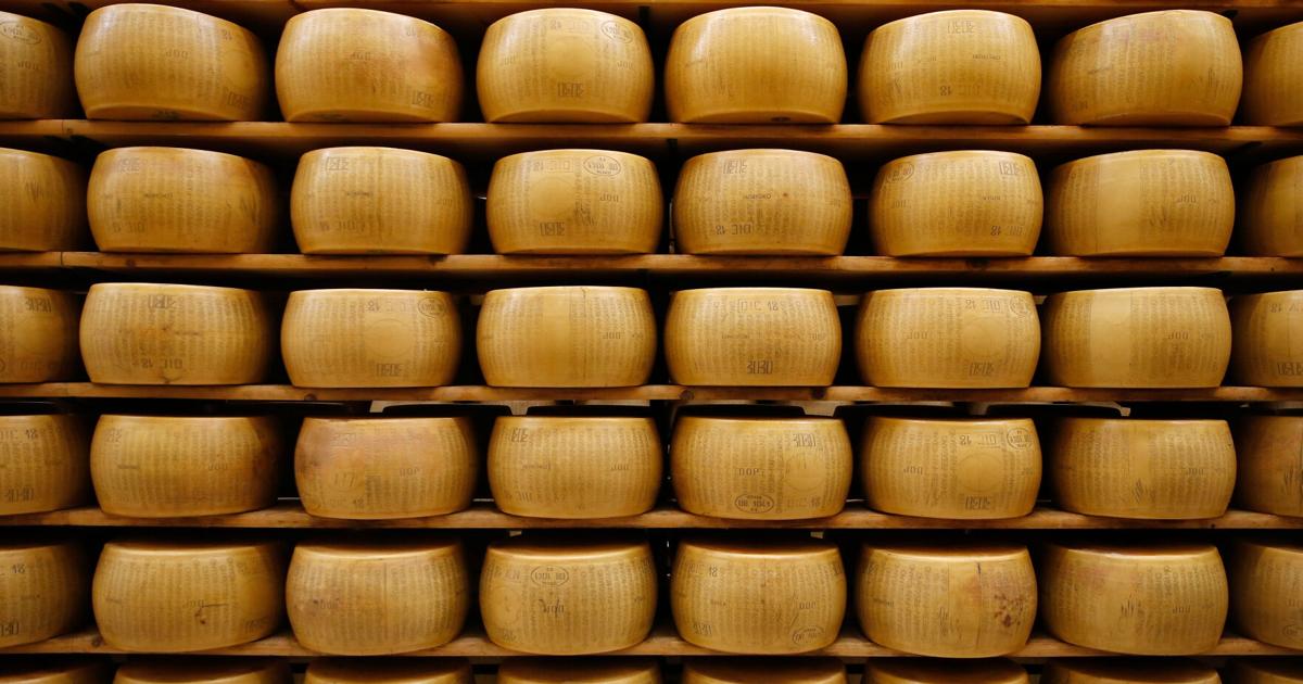 Italy Parmigiano Reggiano Fact Focus