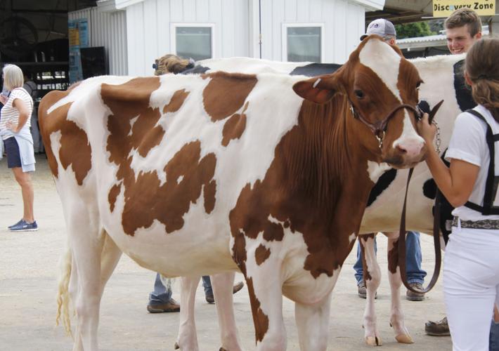 Rock County 4-H Fair