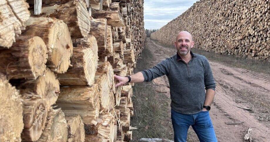 Northwoods forestry faces major shift with proposed $1.5B Hayward fuel plant