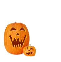 Two Jack O Lantern Pumpkins