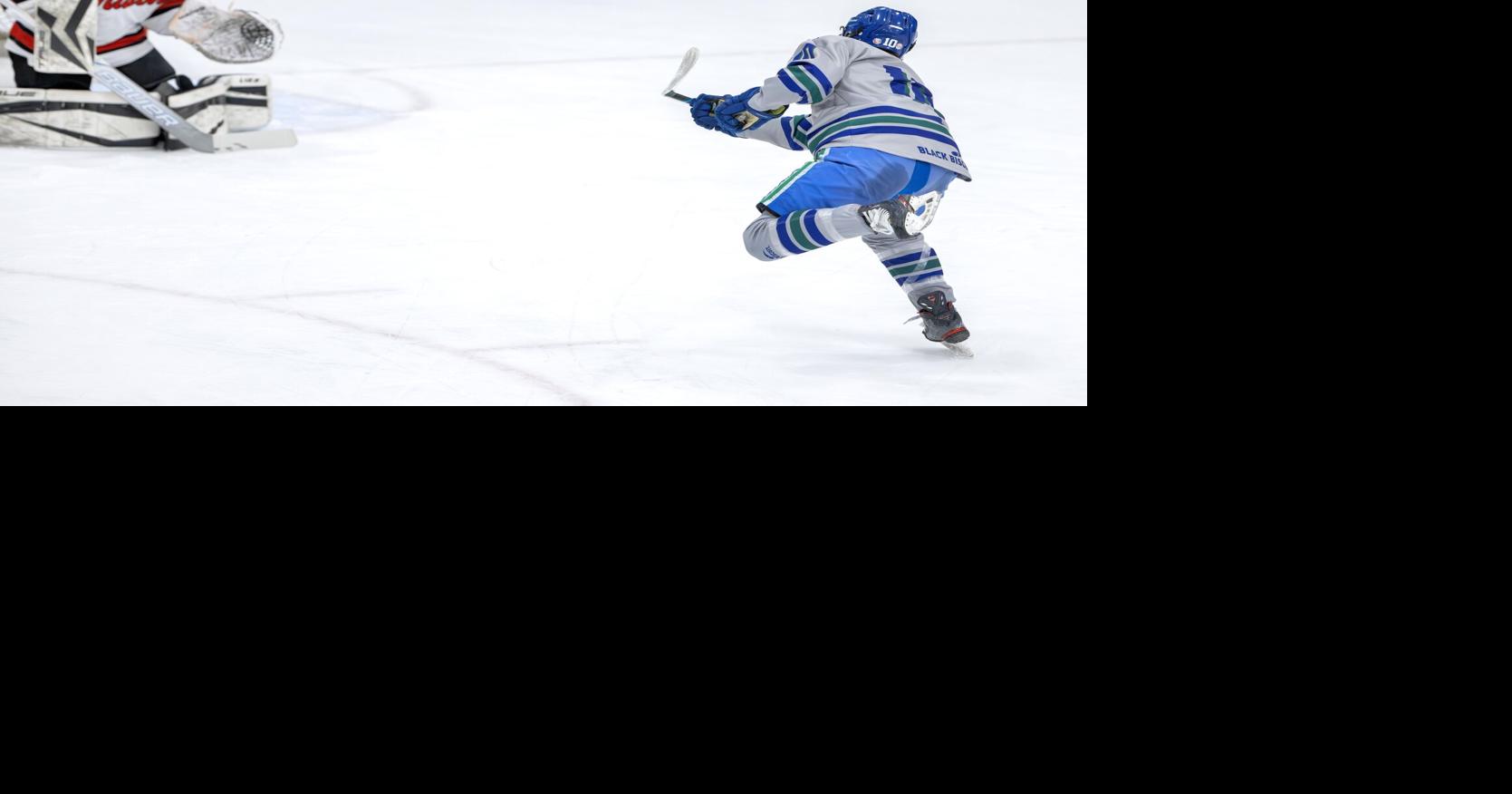 Boys Hockey: Schumacher, Maliszewski voted as All-Badger honorable ...