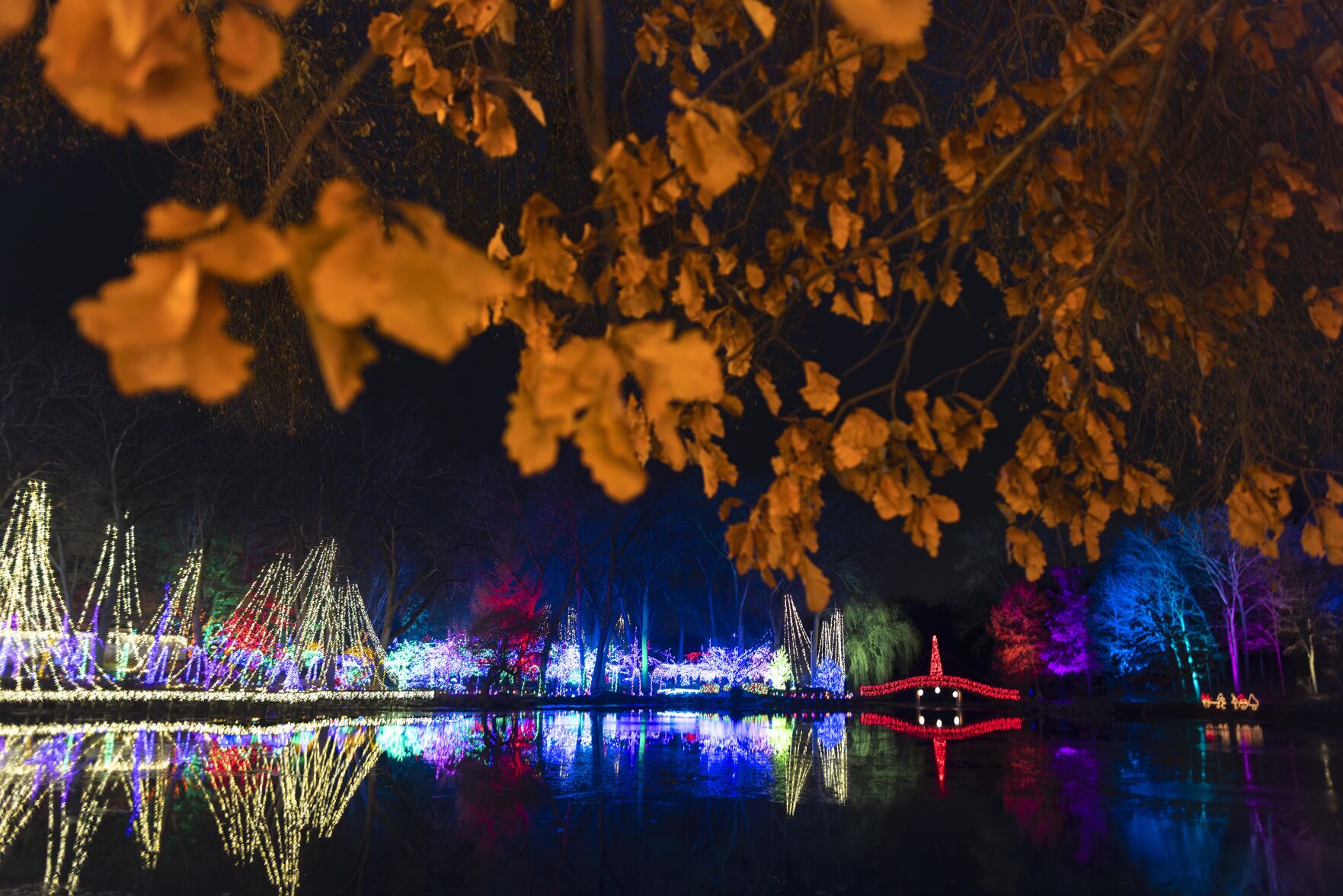It gets better every year.' Rotary Botanical Gardens opens Holiday