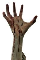 Zombie Bloody Hand Isolated On White Background