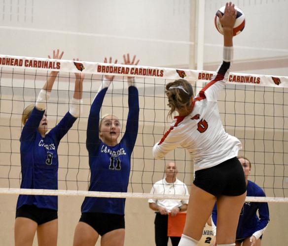 Volleyball Brodhead survives scrappy Cambridge in postseason opener