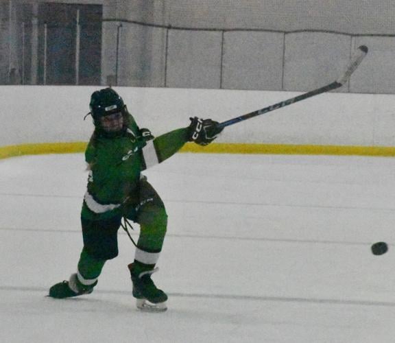 241211 FURY hockey art