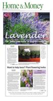 Page D1