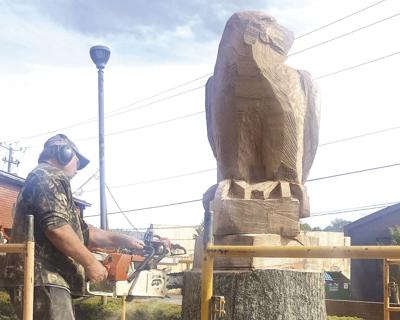 Dying tree at Library  becomes work of art