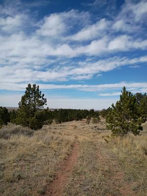 State board awards $1.9M to outdoor rec projects, including $50K to develop trails system at Burnt Hollow