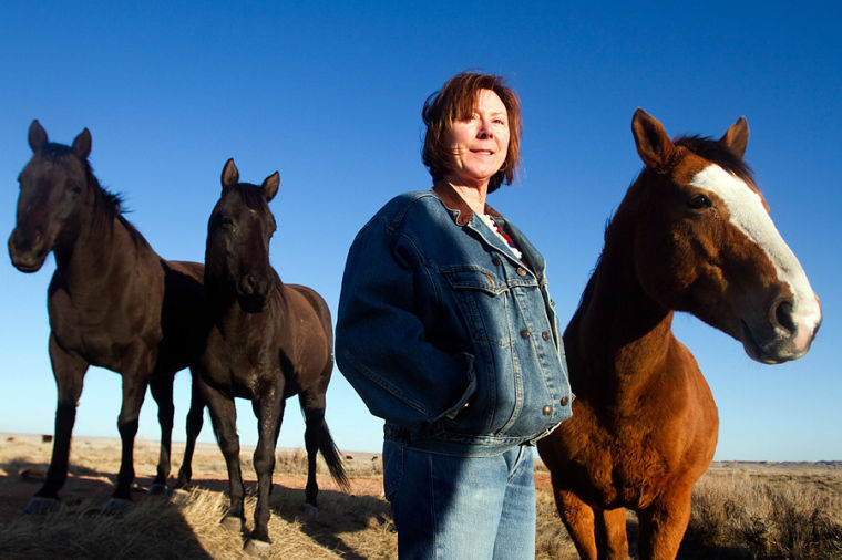 Campbell County Historic Ranches the ranch News