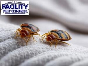 Facility Pest Control Helps Thousand Oaks, CA Property Owners Identify the Best Times to Schedule Pest Services