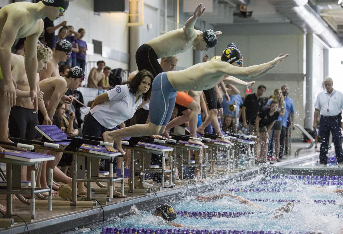 State Swimming Finals