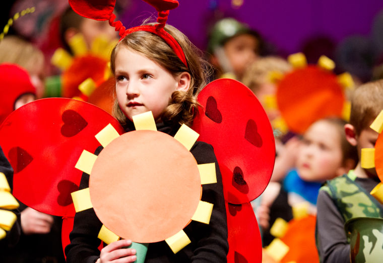 Paintbrush Bugz Featured