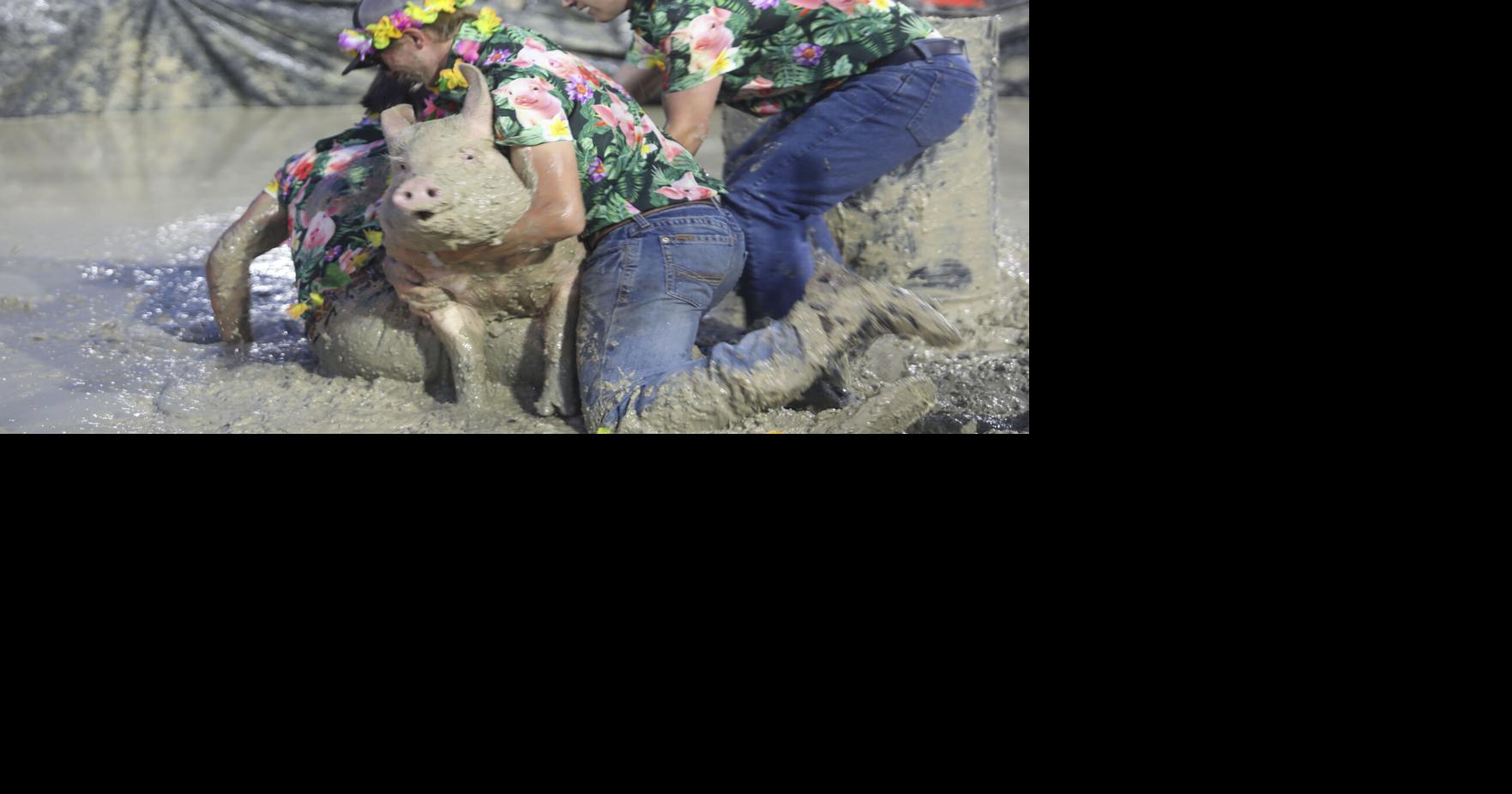 Pig wrestling returns with a splash to Campbell County Fair