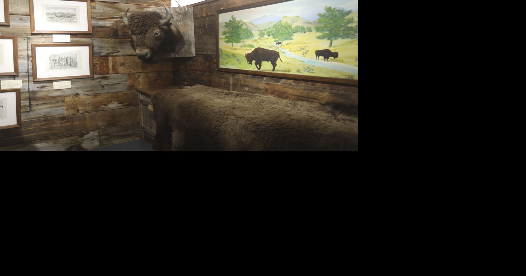 Rockpile Museum unveils new bison exhibit | Local News ...
