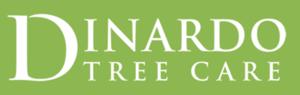 Dinardo Tree Care Expands Certified Arborist and Tree Pruning Services Across Dallas Metropolitan Area