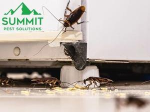 Summit Pest Solutions Addresses Growing Demand for Safe, Family-Friendly Pest Control in Luther, OK