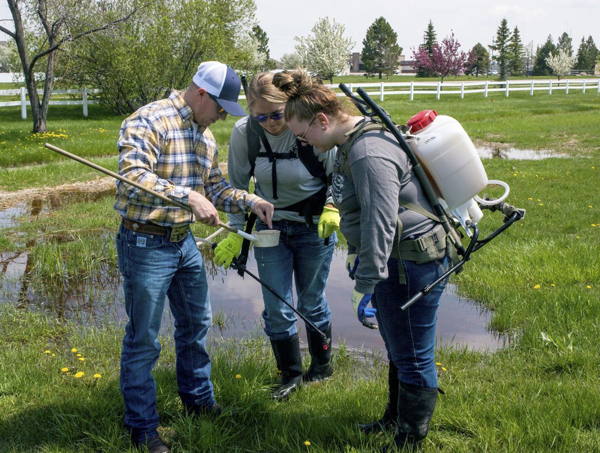County tries to prevent mosquito outbreak after wet spring ...