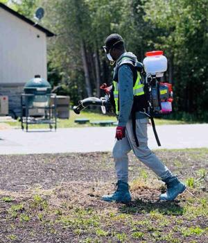 Simcoe PestX Provides Comprehensive Pest Control Services in Barrie and Simcoe County